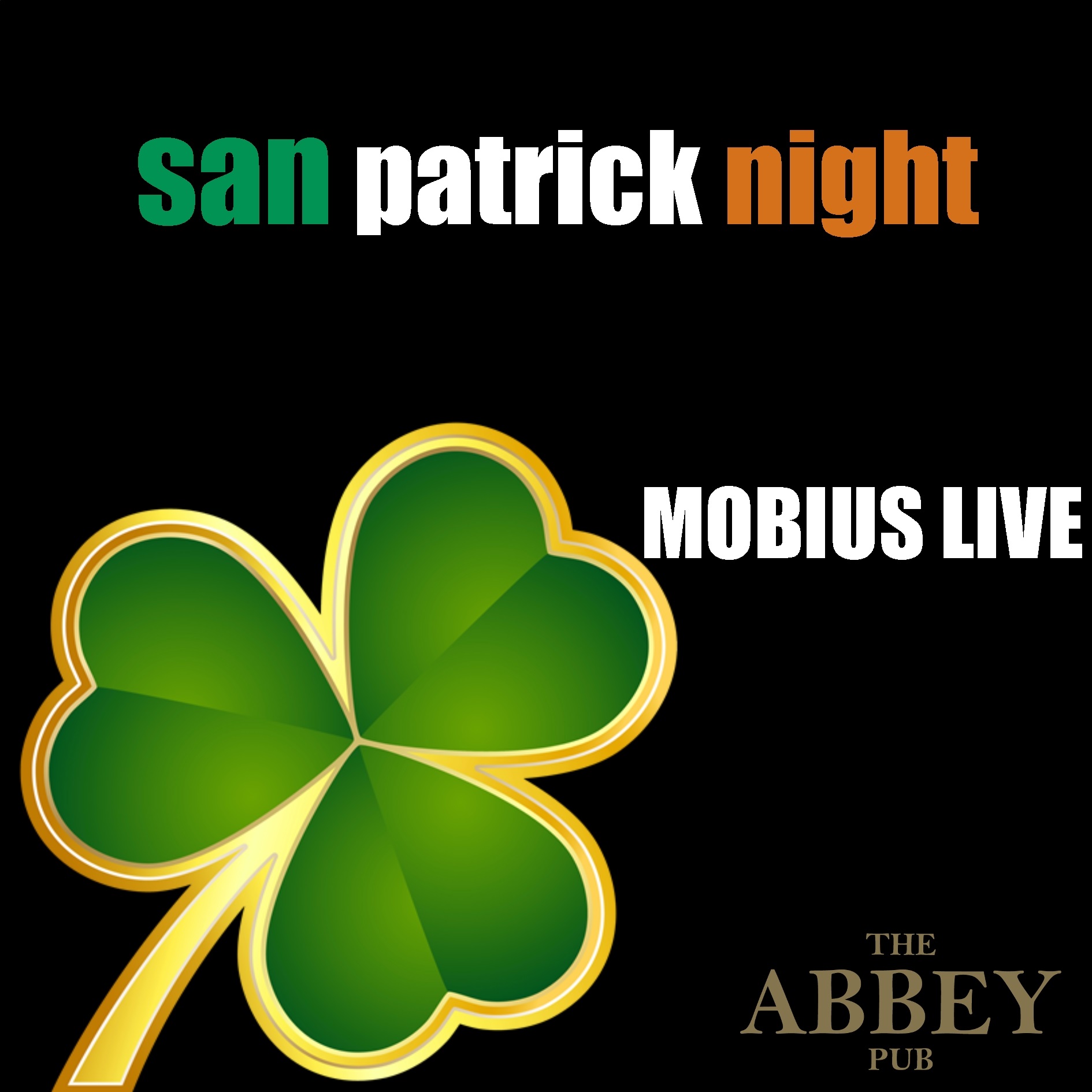 San Patrick night The Abbey Pub